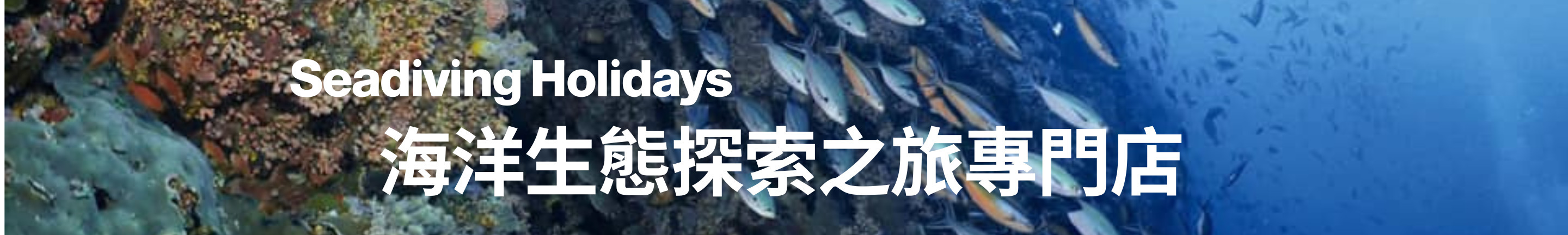 謝建章｜104履歷範本