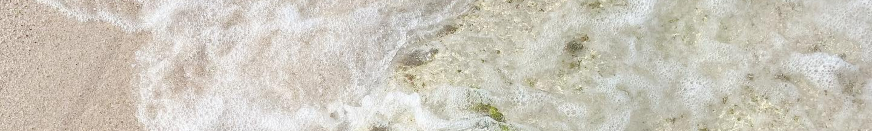 陳姿穎｜104履歷範本