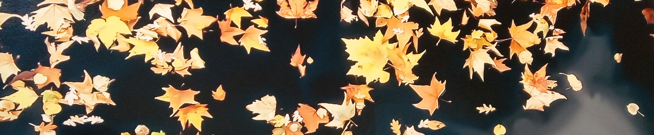 陳暉寰｜104履歷範本