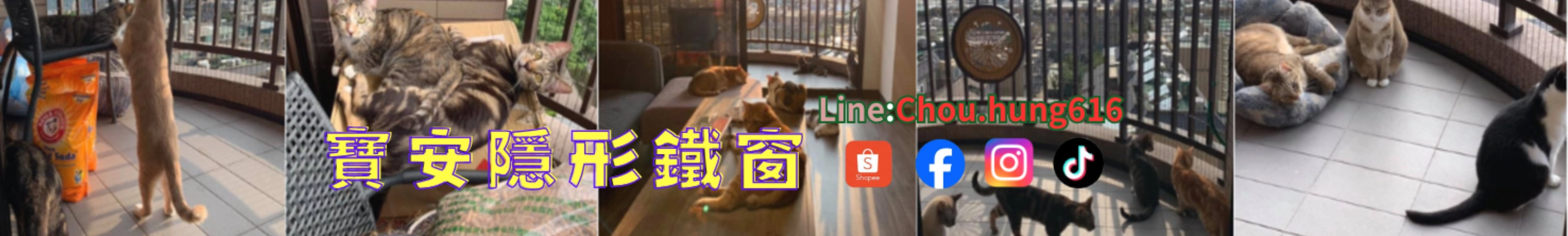 周鑫宏｜104履歷範本
