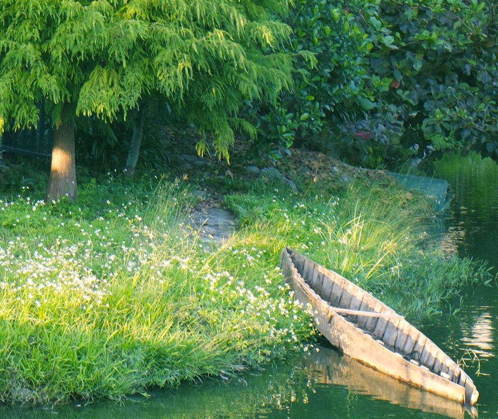 黃芊婷｜104履歷範本