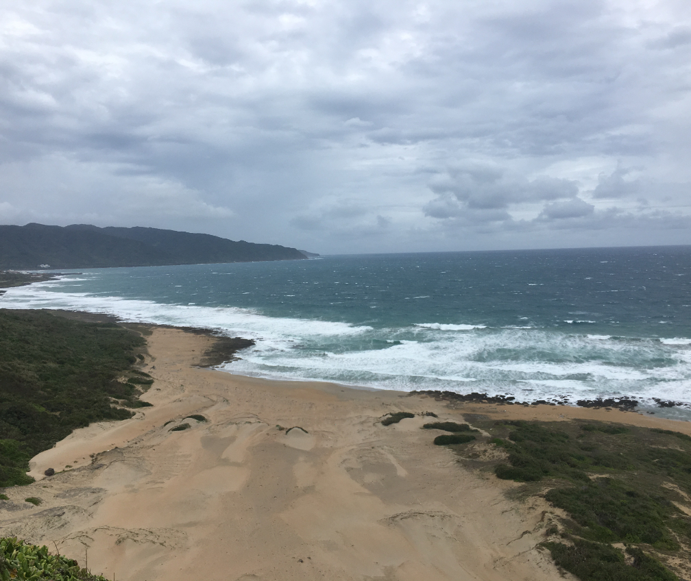 蔡佳蓉｜104履歷範本