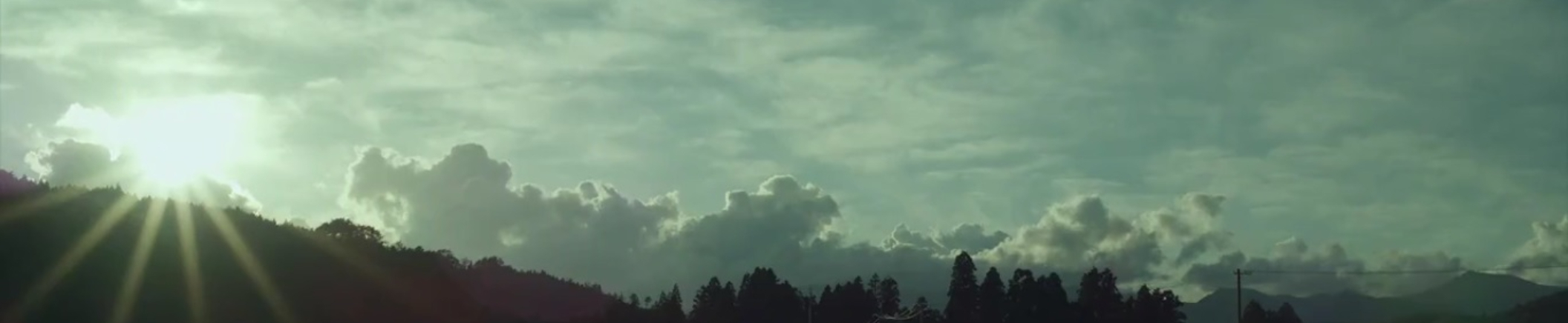 羅辛蒂｜104履歷範本