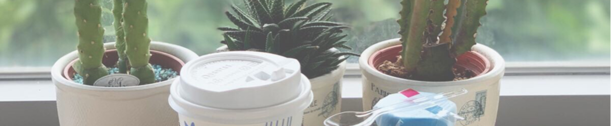 劉千瑜｜104履歷範本