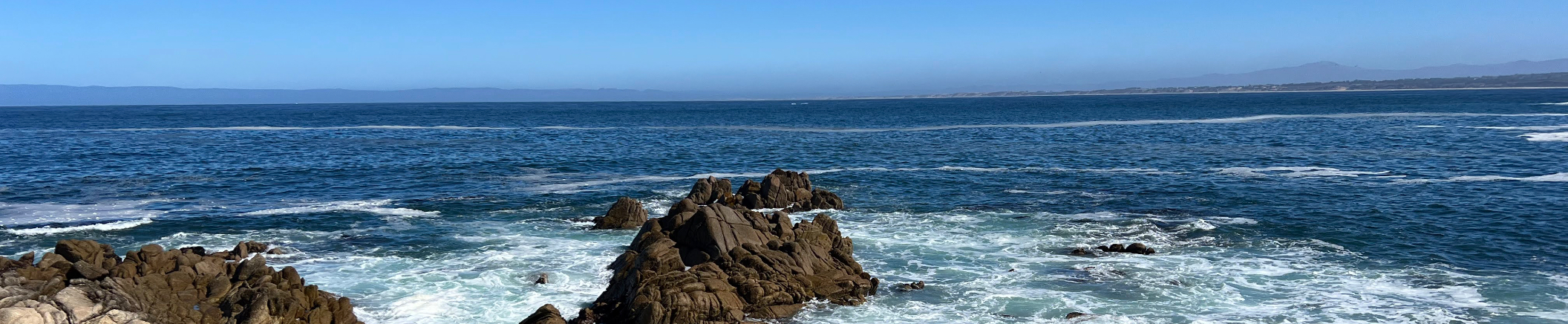 Peggy Hsieh｜104履歷範本