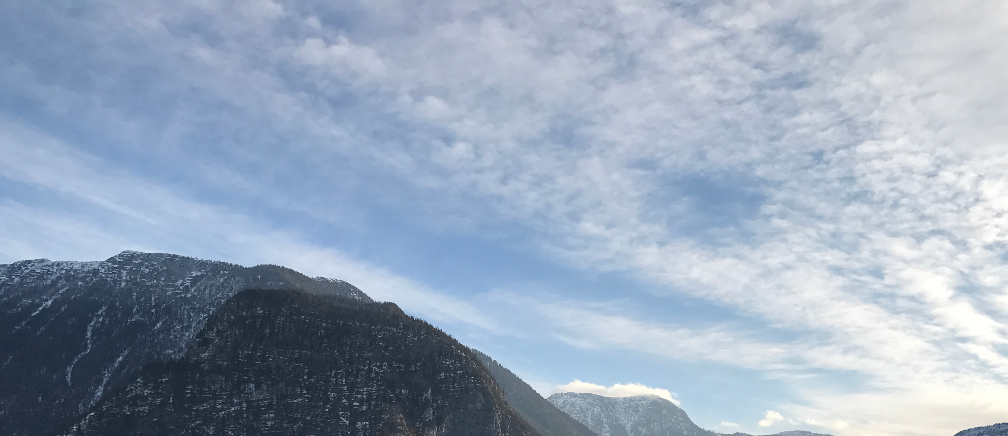 張萬旭｜104履歷範本