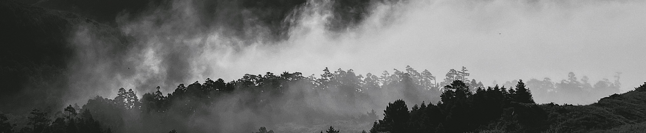 姜皓 Celine｜104履歷範本