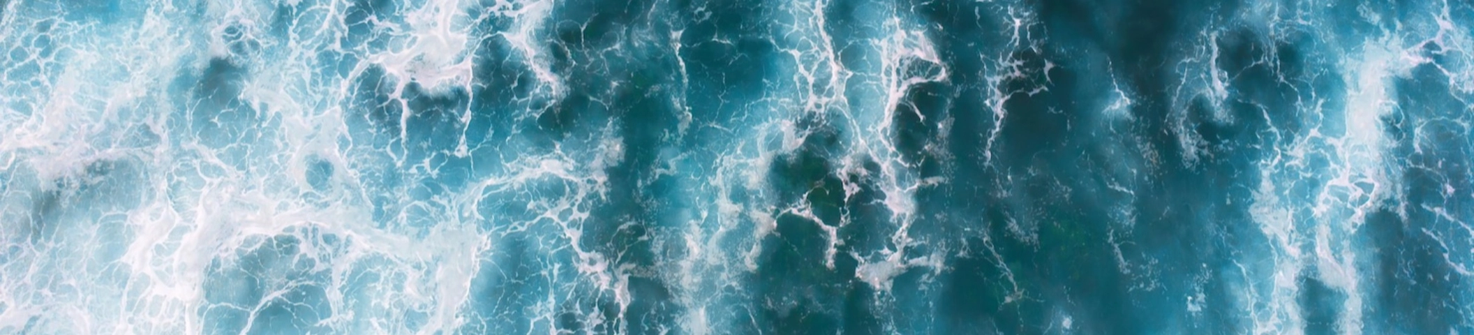 徐冬｜104履歷範本