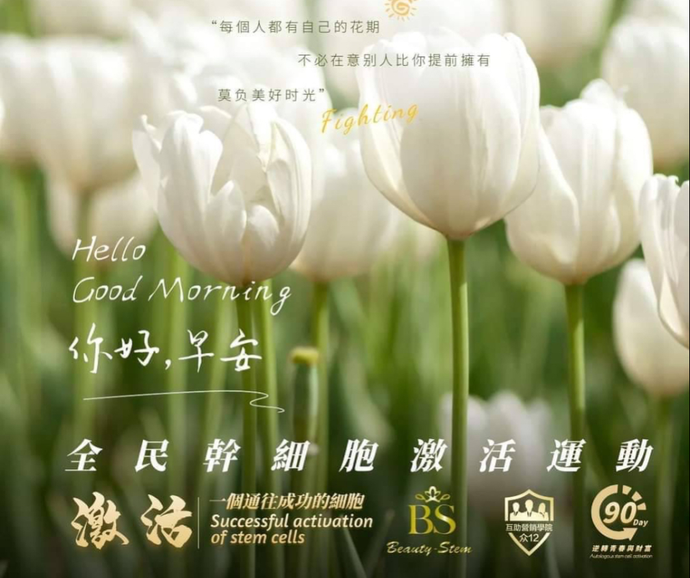 張玉珊｜104履歷範本