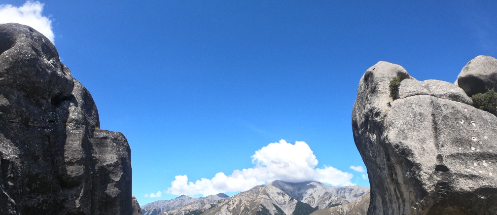 蔡宗哲｜104履歷範本