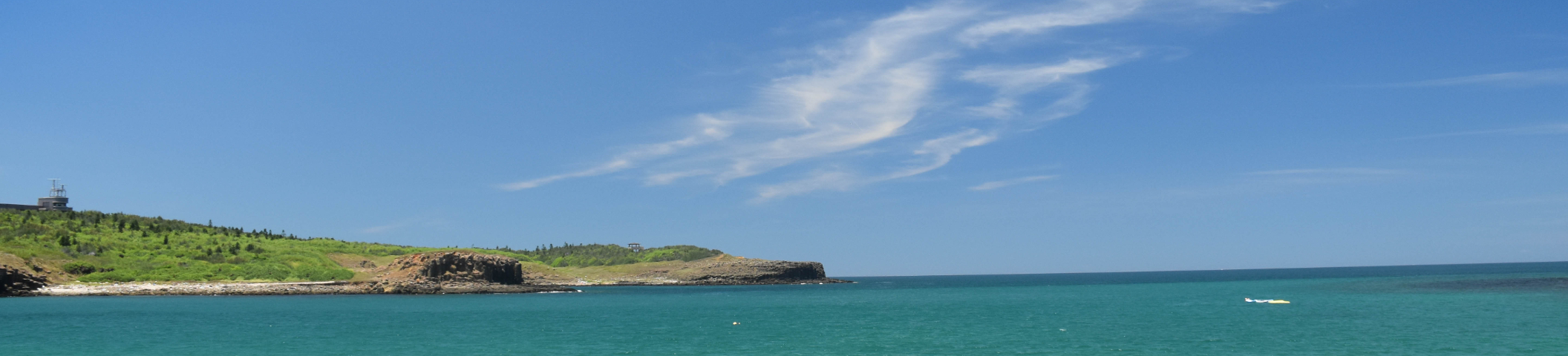 賴冠儒｜104履歷範本