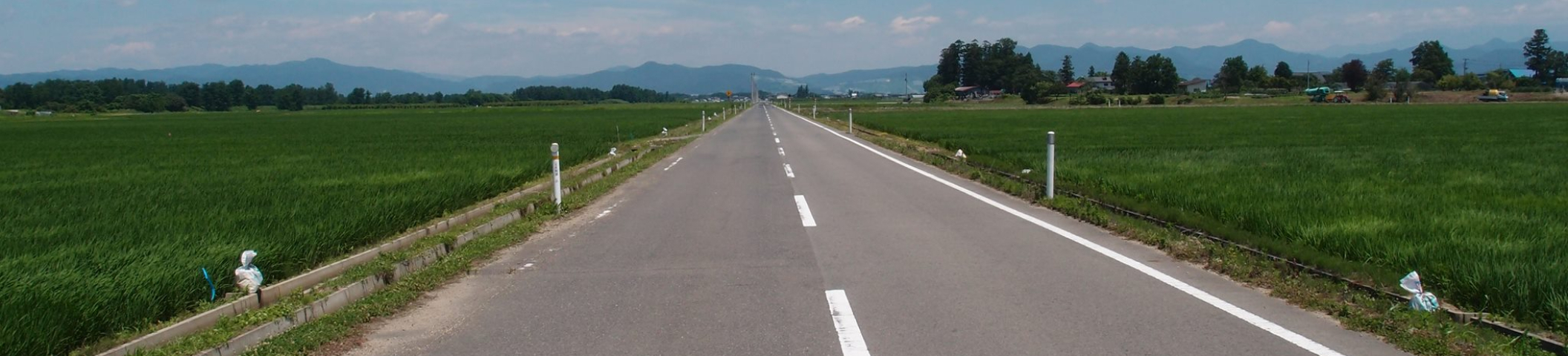 市川春樹｜104履歷範本